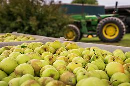 Lavoratori agricoli stagionali: recuperare fabbricati, per ospitarli dignitosamente