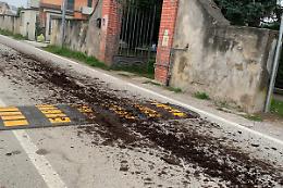 "Strisciata" di letame sulle strade della citt&agrave;: &laquo;Ripulita e segnalata alla Polizia locale&raquo;