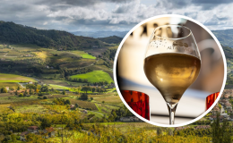Le bollicine Alta Langa vanno forte: l'area di produzione "si allarga" di 50 ettari