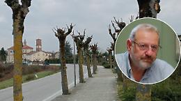 Il paese si rimbocca le maniche: completata la potatura di 135 alberi del viale con il supporto dei volontari