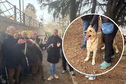 Aperta l'area cani: il primo progetto "votato dai cittadini"