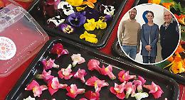 Petali e corolle in cucina: l&rsquo;uso dei fiori in gastronomia