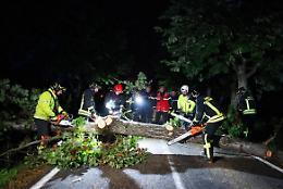 Pioggia e vento: alberi caduti in strada nella notte, alla Giacobba