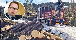 &laquo;Energia nucleare? Meglio puntare sulle filiere del legno&raquo;