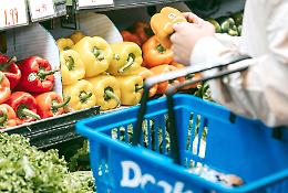 Il gasolio sale e trascina tutto: dall&rsquo;energia ai trasporti, dall&rsquo;edilizia all&rsquo;agricoltura, dalla spesa ai viaggi