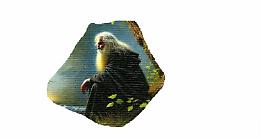 &ldquo;L&rsquo;acqua del tempo&rdquo;. La presentazione dell&rsquo;ultimo libro di Remigio Bertolino

