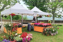 Il centro storico si trasformer&agrave; in un vivaio a cielo aperto