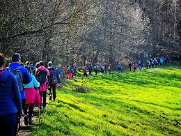 Una giornata per staccare: passi lenti, panorami e tradizioni da riscoprire