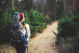 Nella "banca del Dna" delle foreste piemontesi: semi pi&ugrave; forti contro il cambiamento climatico