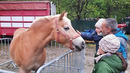 Dalla polentata al live a tema Queen: il programma di San Giors 2026