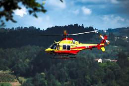 76enne muore schiacciato da un albero nei boschi, in Alta Langa