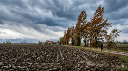 Piemonte sferzato dal Foehn: raffiche fino a 150 km/h e rischio gelate 