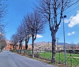 Si potano gli alberi in vista della realizzazione del nuovo campo da calcio