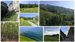 Valle Tanaro modello d&rsquo;Europa: dalle foreste nasce una nuova economia verde