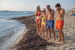 Scarti di alghe sulle spiagge? Quello che sembrava spazzatura oggi pu&ograve; salvare il mare