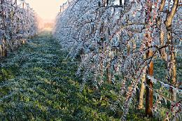 Dopo il caldo di oggi, torna il gelo di notte: temperature minime fino a -5 gradi