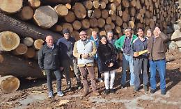 Nel Comune pi&ugrave; piccolo della Provincia di Savona c&rsquo;&egrave; il regno del legno: dal taglio all&rsquo;intarsio