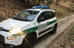 Cacciatore di frodo fermato nei boschi: aveva piazzato otto lacci di cattura