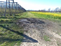 Cadavere nell'auto in fiamme, la famiglia di Amalia Bergalla: &laquo;Nessuna prova scientifica che il corpo sia il suo&raquo;