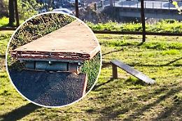 Area cani: aperta da un mese, gi&agrave; danneggiata