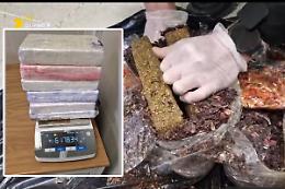 Valigia piena di cocaina e metanfetamine "nascoste" sotto le spezie e profumi per ingannare il cane antidroga