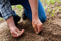 Il verde si risveglia: lavori, semine e attenzioni speciali per questo inizio di primavera