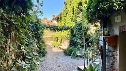 Passeggiando tra le erbe: un pomeriggio tra natura e scoperta
