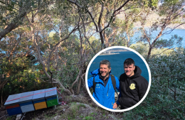 Su un isolotto disabitato nascer&agrave; il "miele che sa di mare"