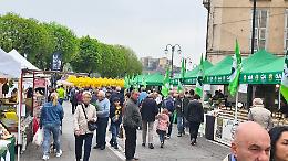 Come &egrave; andata l'ultima Fiera di Primavera?