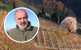 &laquo;Diserbare con il glifosate &egrave; rischioso per la salute, va vietato nelle vigne delle Langhe&raquo;