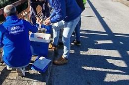 Acqua con tracce di cromo-VI: "Valori in diminuzione, resta l'ordinanza"