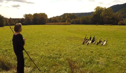 "Con i piedi per terra": storie di chi resiste tra i campi, coltivando con rispetto