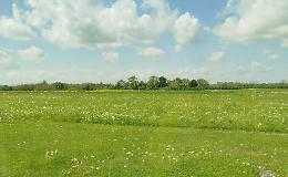 Una primavera che profuma d'estate: massime fino a 25 gradi 