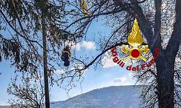 Sbaglia una manovra con il parapendio e resta appeso ad un albero