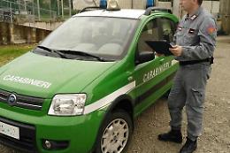 Ruba mille litri di gasolio e scappa: identificato grazie alle telecamere