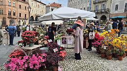 Mondov&igrave; oggi &egrave; un giardino tutto da vivere (e fotografare)