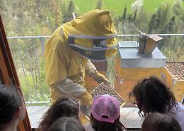 Gli alunni della Scuola primaria incantati dal mondo delle api