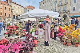 &ldquo;Monfleur&rdquo; ha funzionato, e anche bene: perch&eacute;?