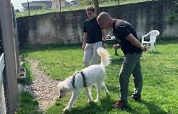 A scuola di tartufi: un corso per chi vuole diventare "trifolau"