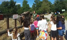 Il Comune investe sui giovani: rette pi&ugrave; basse per Estate Ragazzi e una nuova aula all'aperto