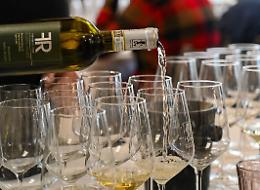 L'altitudine e l'influenza delle Rocche danno vita ad un vino unico: il Roero Arneis