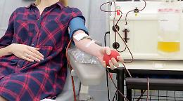 Plasma in Piemonte, la Regione: &laquo;nessun allarme&raquo;