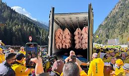Cosce di maiali dall'estero diventano prosciutto italiano: 10 mila agricoltori protestano al Brennero