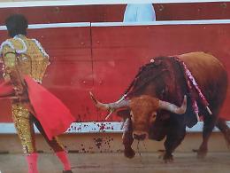 San Pio V: il Papa che condann&ograve; (e scomunic&ograve;) le corride