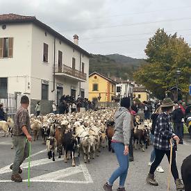 Sabato arriva la transumanza!