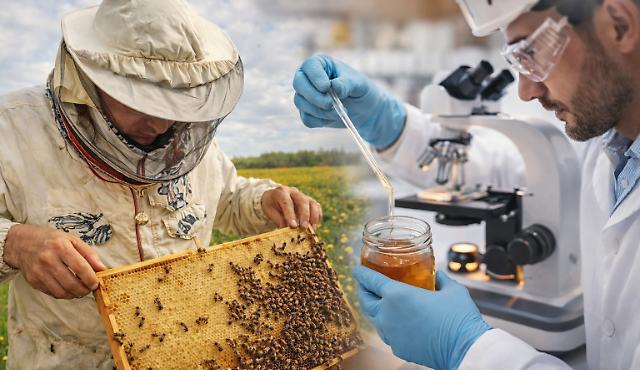 Un apicoltore e un chimico a confronto: il miele, alimento millenario, tra scienza e natura