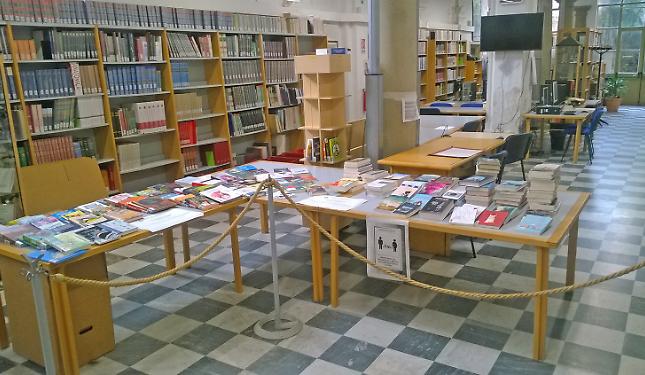 Servizio Civile: sei posti disponibili in Comune, 500 euro al mese. Ecco come fare domanda