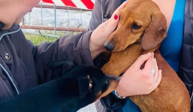 Screenshot 20230408 232100 Business Suite