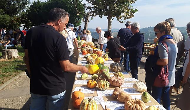 Dai funghi alle zucche: due nuove Fiere Internazionali, sei Nazionali e tre Regionali