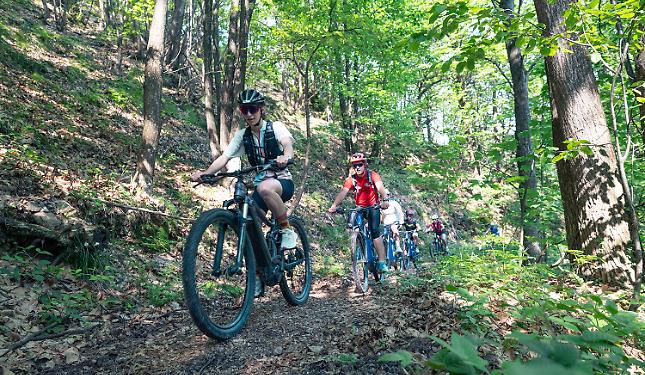 «Il Piemonte attira chi vuole vacanze in natura, aria aperta ed enogastronomia»